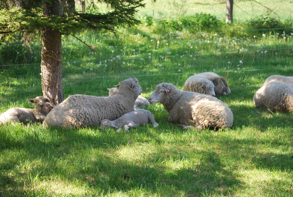 Yorkshire Farm Villa Shintoku Bagian luar foto