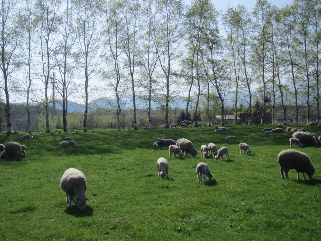 Yorkshire Farm Villa Shintoku Bagian luar foto