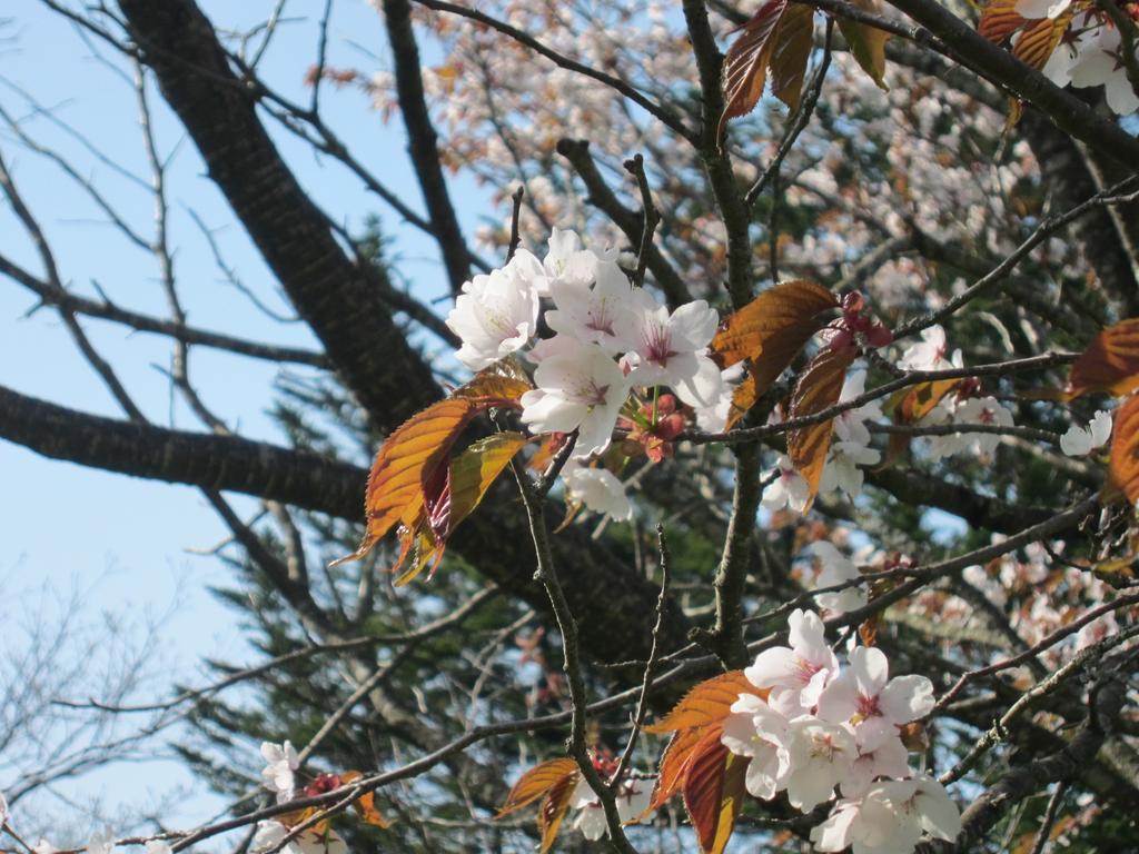 Yorkshire Farm Villa Shintoku Bagian luar foto
