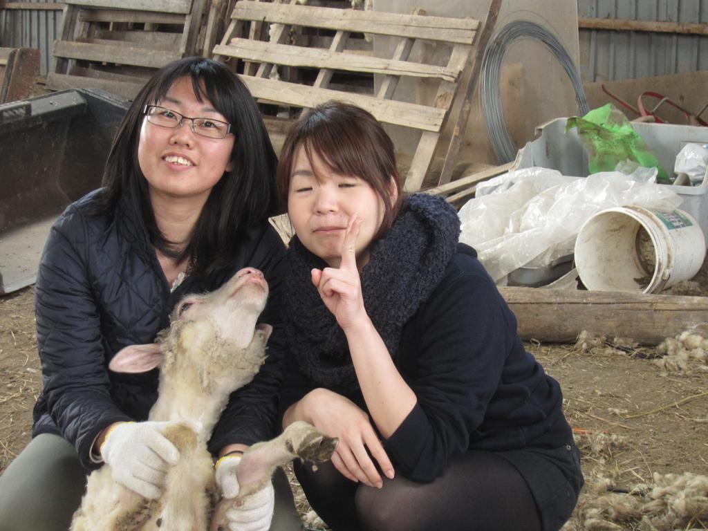 Yorkshire Farm Villa Shintoku Bagian luar foto