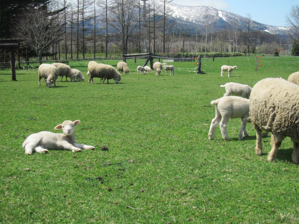 Yorkshire Farm Villa Shintoku Bagian luar foto