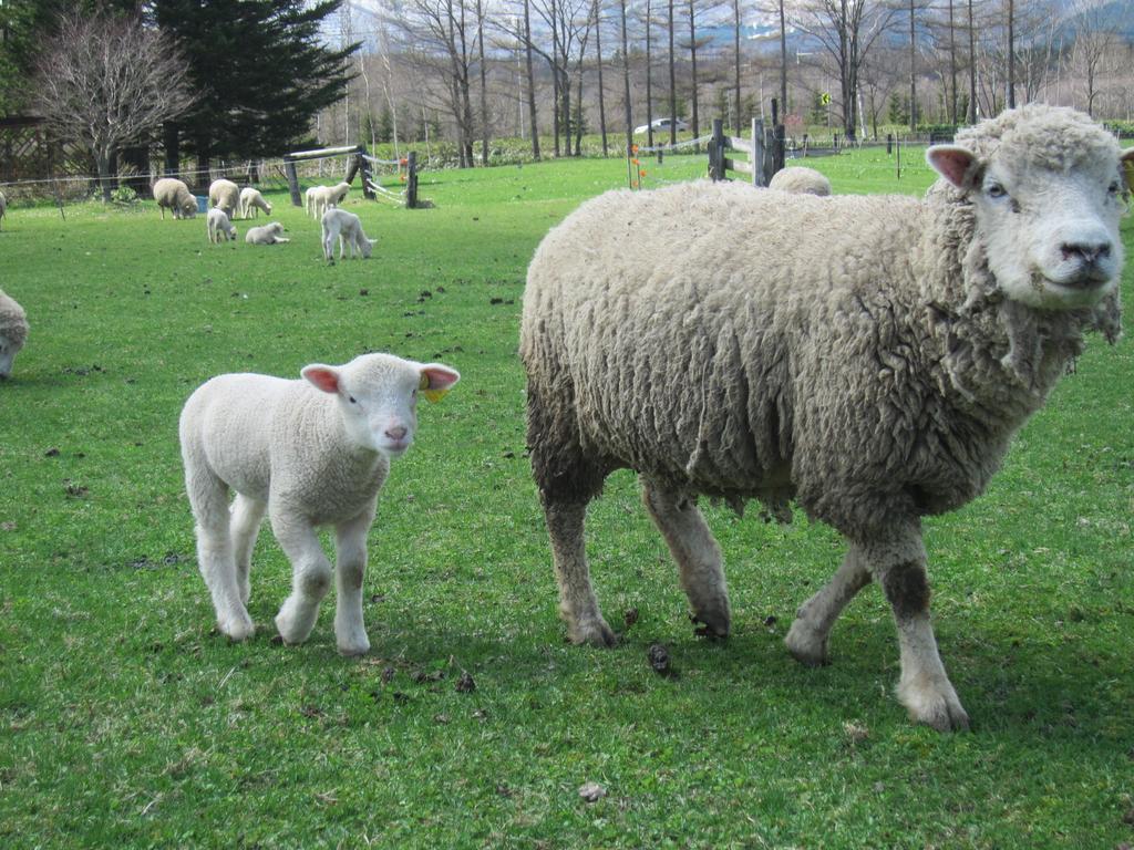 Yorkshire Farm Villa Shintoku Bagian luar foto